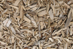 biomass boilers Pencoys